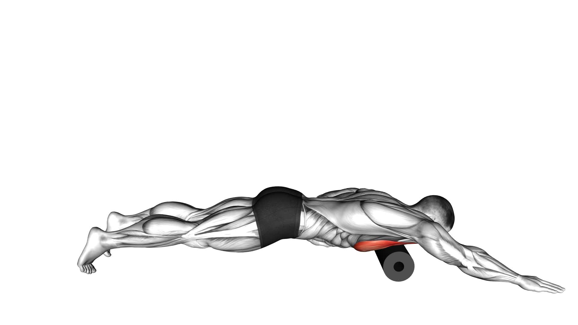 Roll Pec Foam Rolling - Video Exercise Guide & Tips