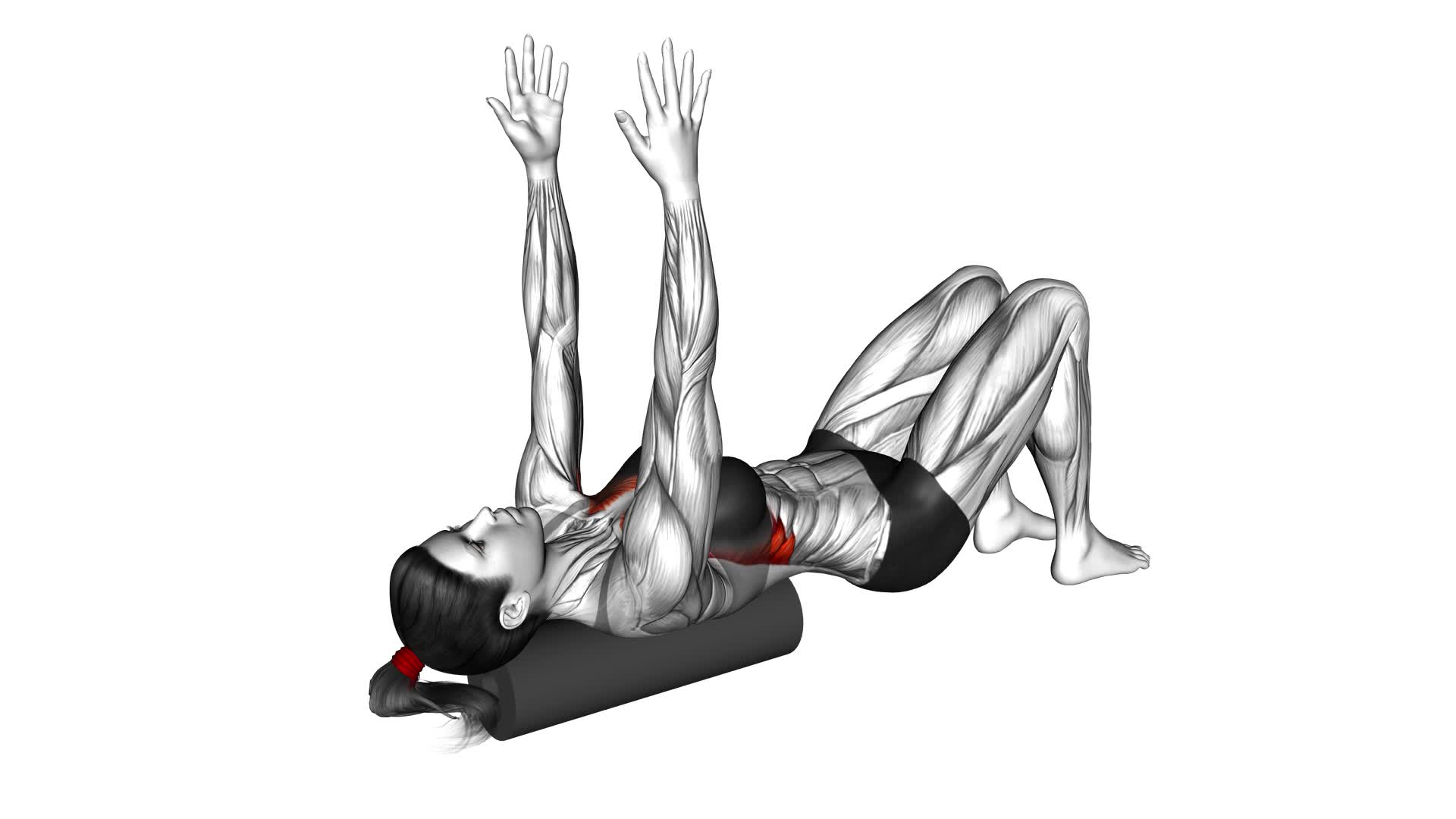 Roll Shoulder Blade Reach Lying on Floor (female) - Video Exercise Guide & Tips