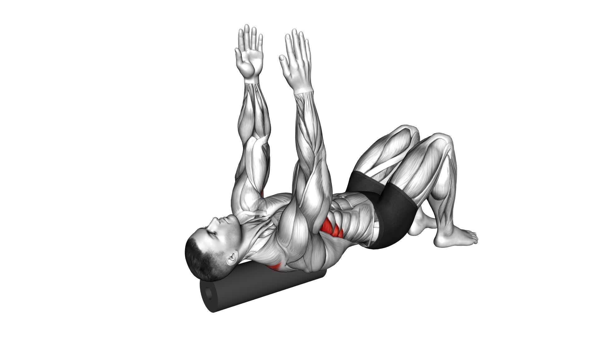 Roll Shoulder Blade Reach Lying on Floor - Video Exercise Guide & Tips