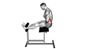 Roman Chair Sit-Up - Video Exercise Guide & Tips