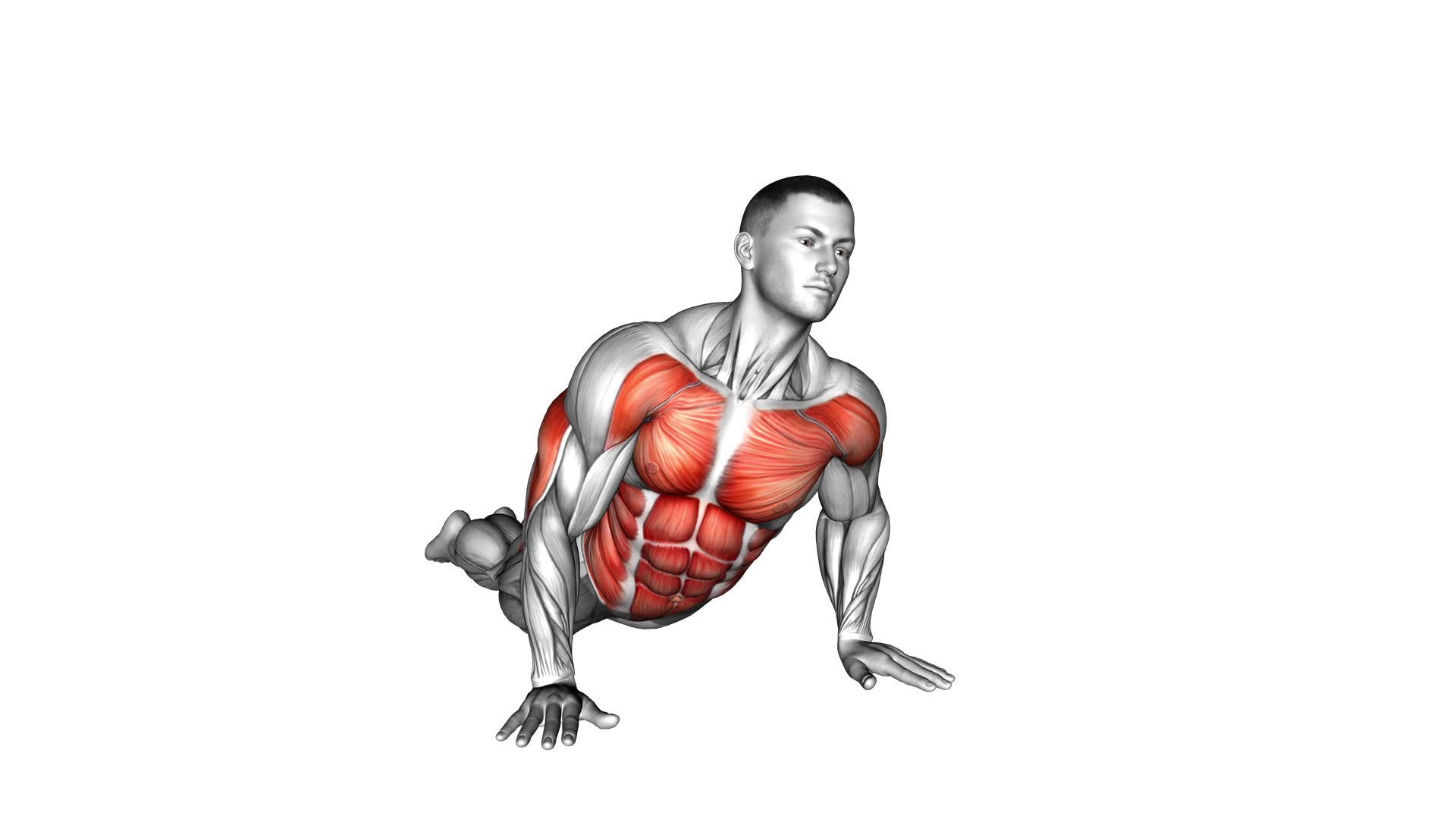 Rotating Stomach Stretch - Video Exercise Guide & Tips