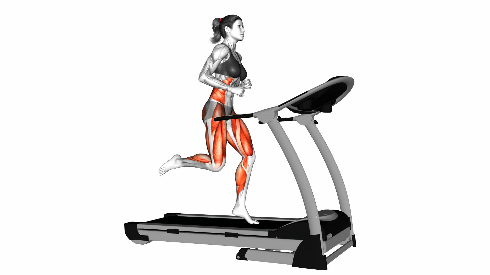 Run on Treadmill (female) - Video Exercise Guide & Tips