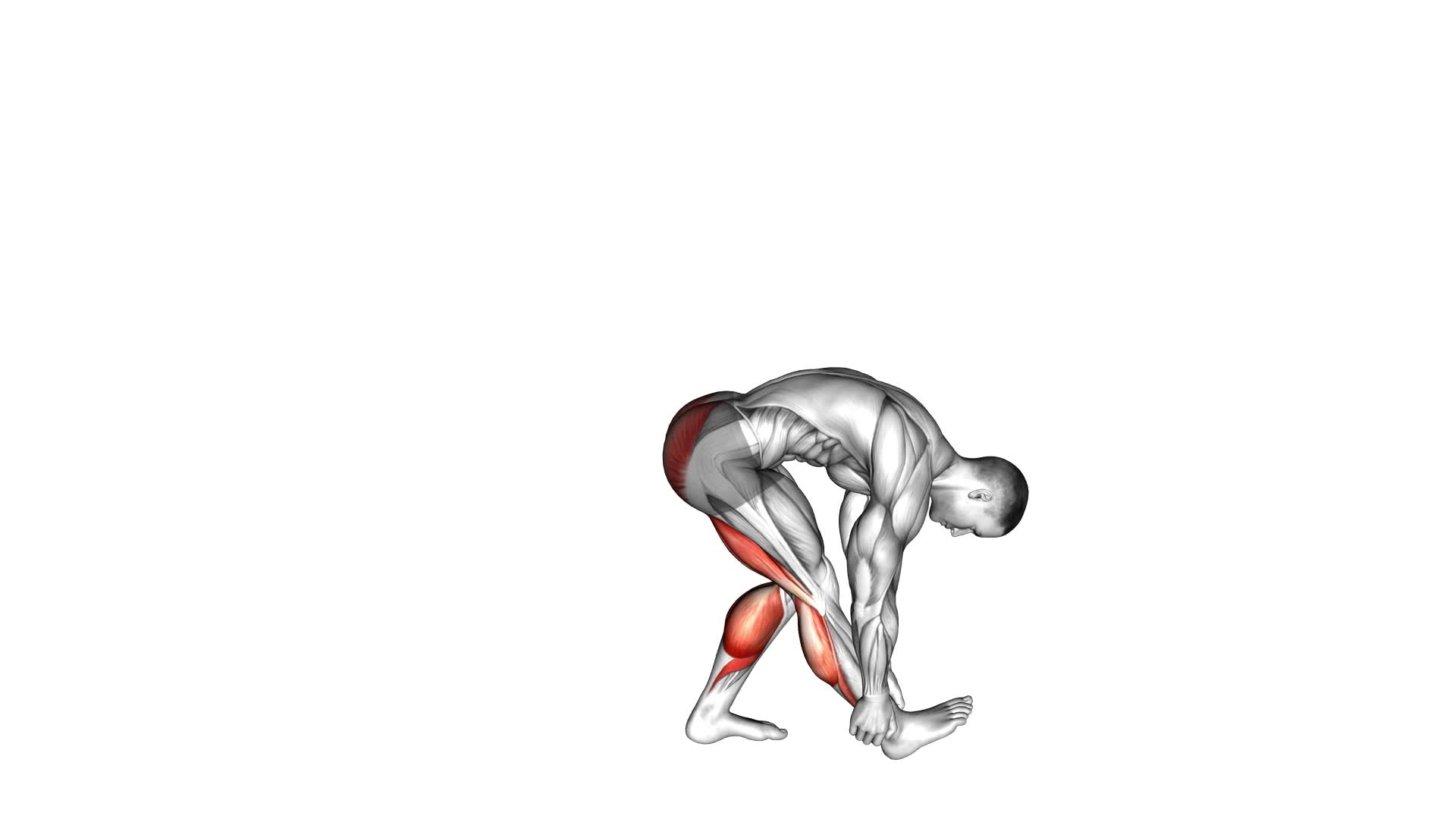 Runners Stretch - Video Exercise Guide & Tips