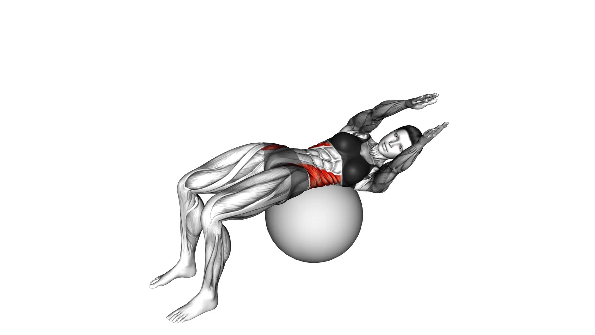Russian Twist (On Stability Ball Arms Straight) - Video Exercise Guide & Tips