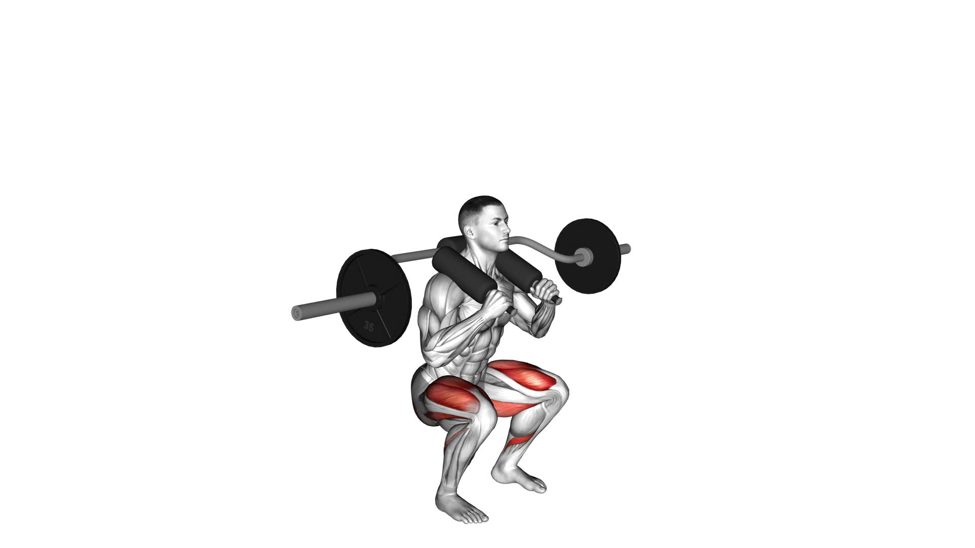 Safety Bar Front Squat - Video Exercise Guide & Tips