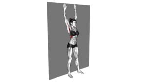 Scapular Slide Back to Wall (female) - Video Exercise Guide & Tips
