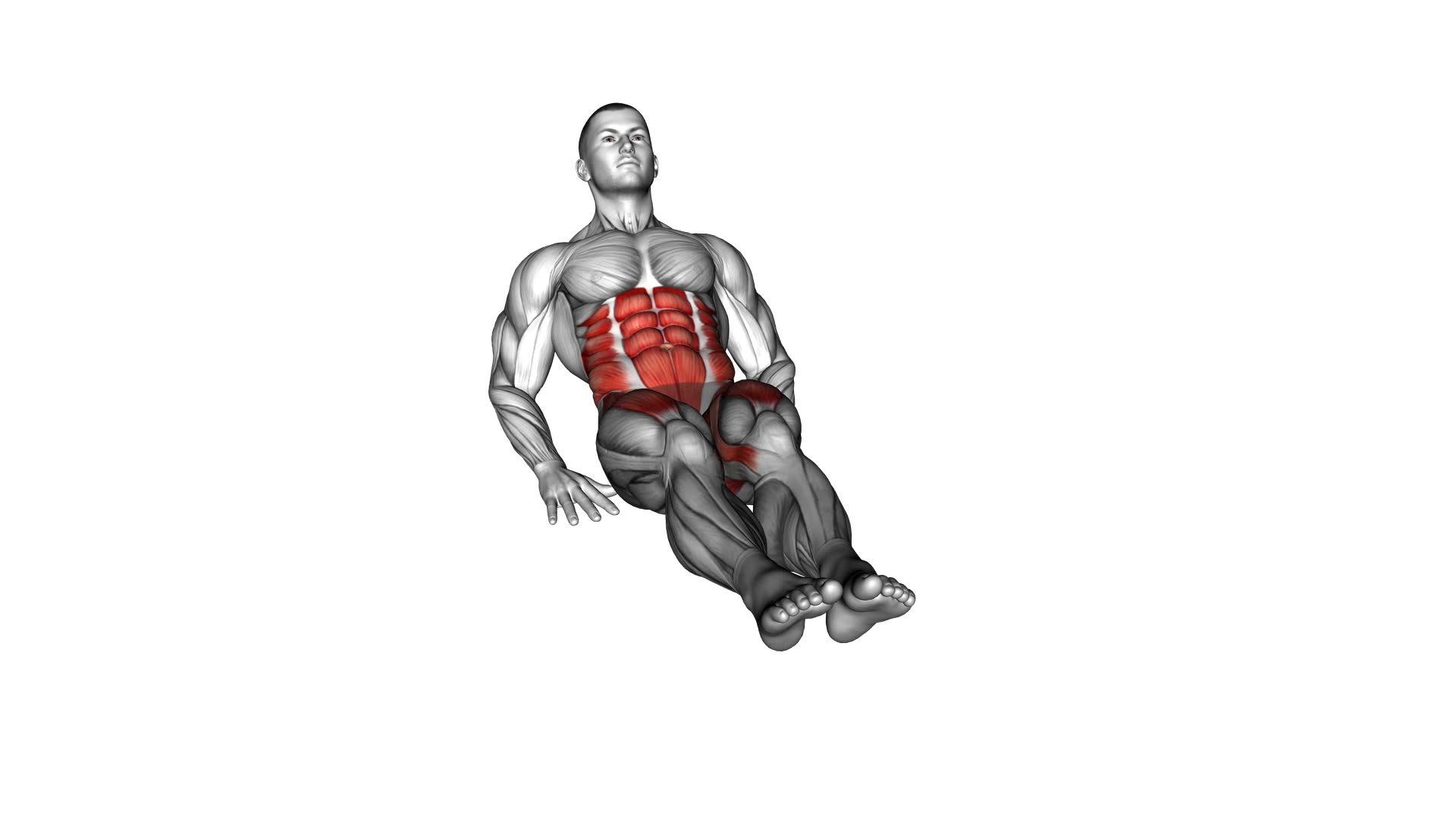 Seated 8 Leg Crunch - Video Exercise Guide & Tips