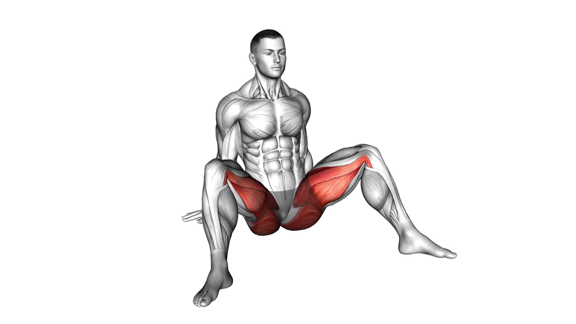 Seated Alternate Wide Side Adduction (male) - Video Exercise Guide & Tips