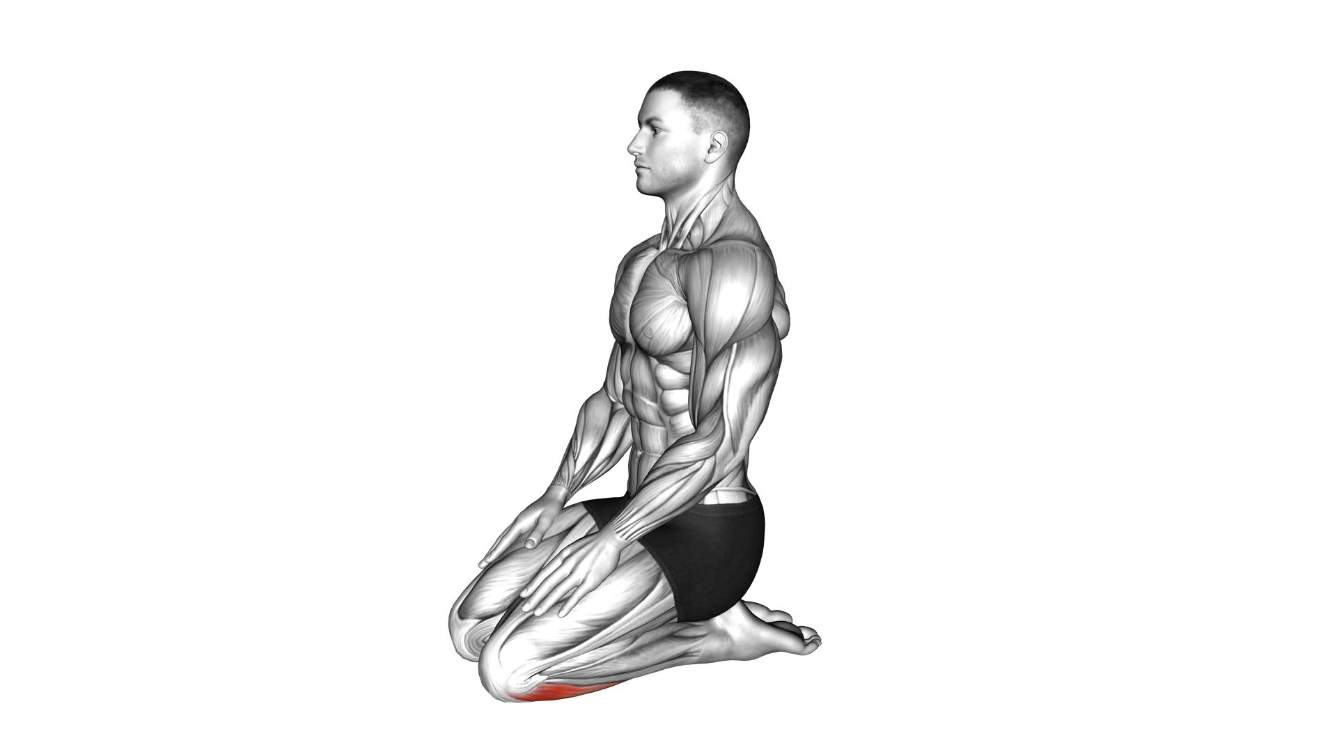 Seated Ankle Stretch - Video Exercise Guide & Tips