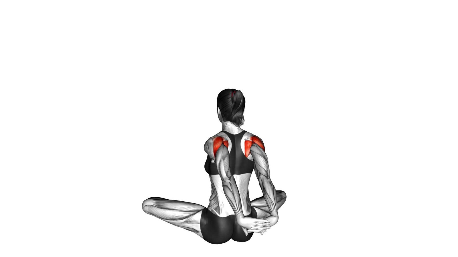 Seated Behind Back Raise (female) - Video Exercise Guide & Tips 1 Seated Behind Back Raise (female) - Video Exercise Guide & Tips