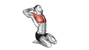 Seated Chest Clam (male) - Video Exercise Guide & Tips