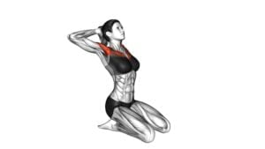 Seated Chest Clam - Video Exercise Guide & Tips