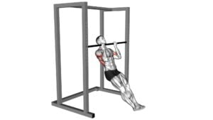 Seated Chin-up - Video Exercise Guide & Tips