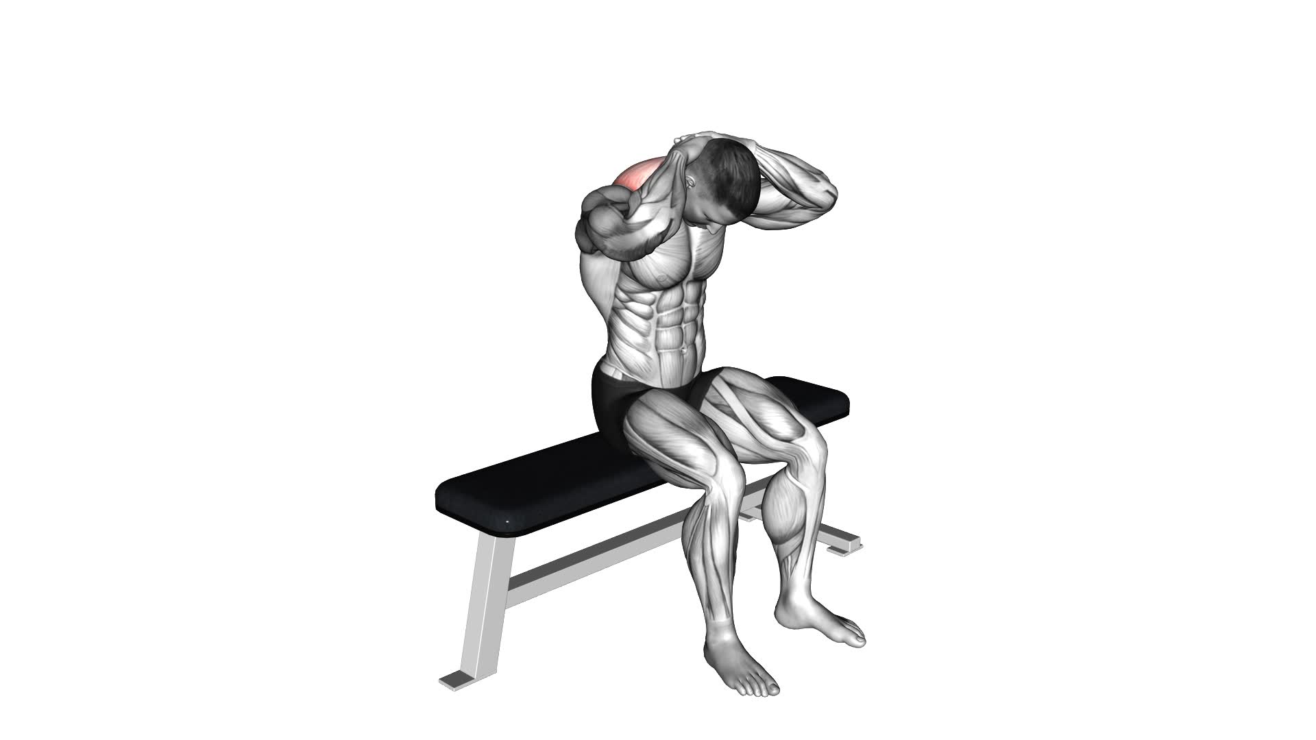 Seated Flexion And Extension Neck (male) - Video Exercise Guide & Tips