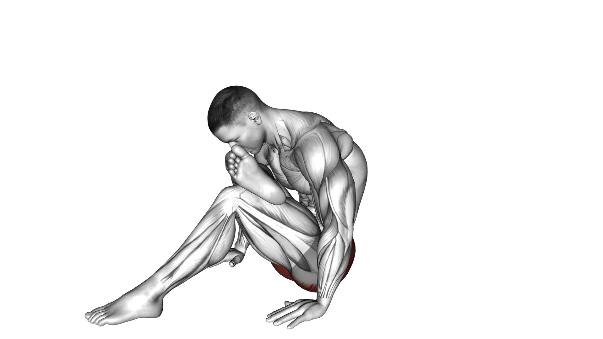 Seated Glute Stretch - Video Exercise Guide & Tips