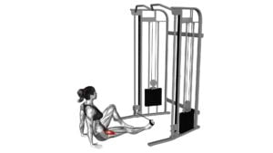 Seated Hip External Rotation (female) - Video Exercise Guide & Tips