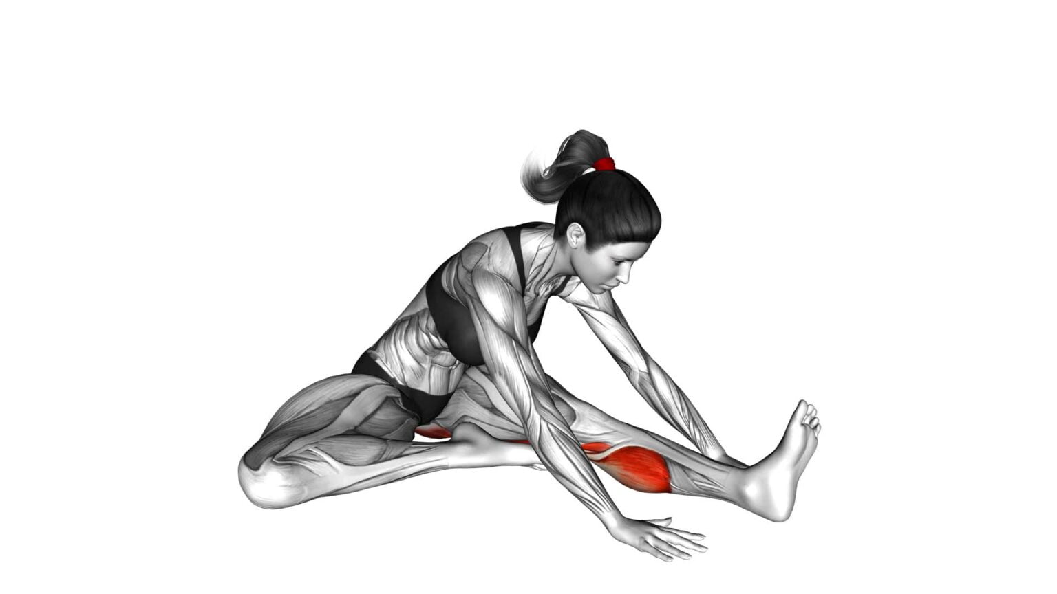 Seated Hip External Rotator & Extensor Stretch (female) - Video Guide ...