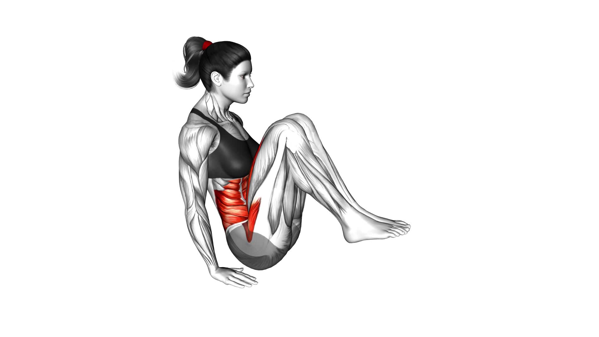 Seated In Out Leg Raise on Floor (female) - Video Exercise Guide & Tips