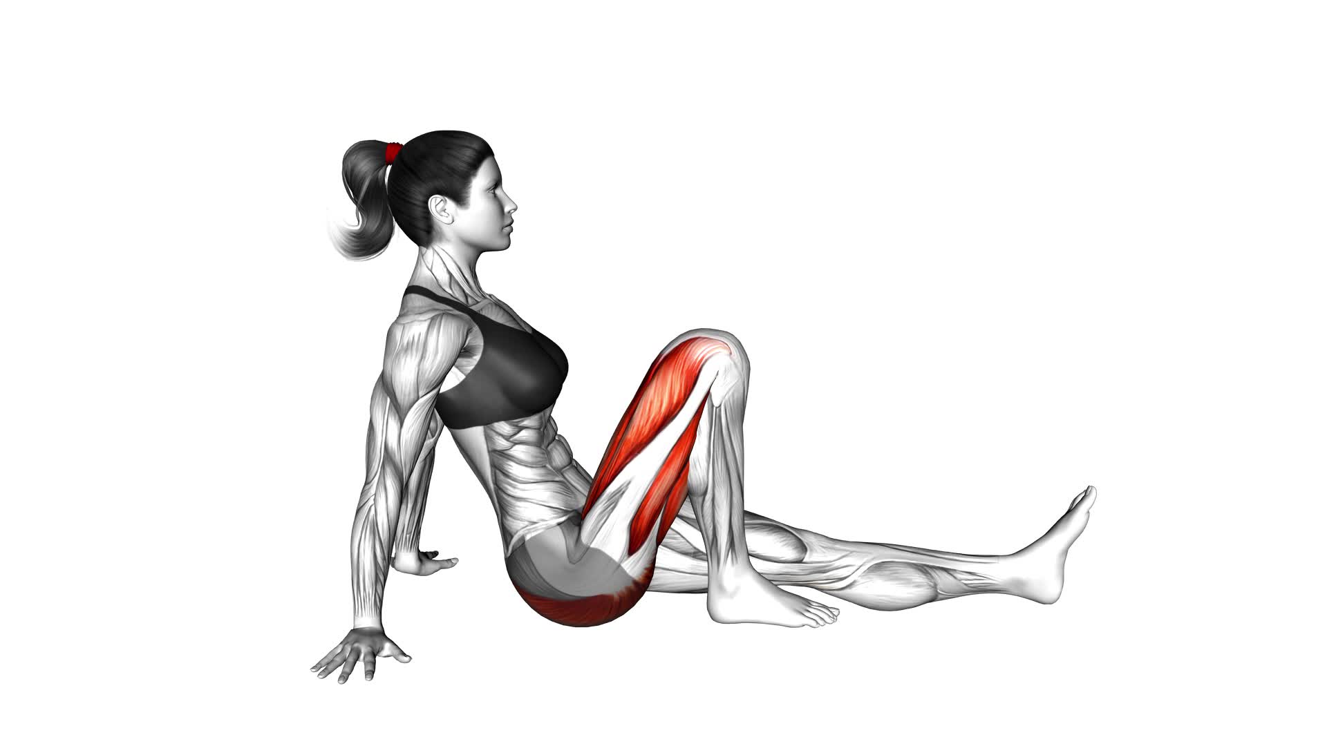 Seated Knee Slide (female) - Video Exercise Guide & Tips