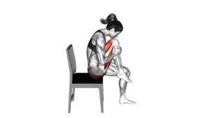 Seated Knee to Nose Stretch (female) - Video Exercise Guide & Tips