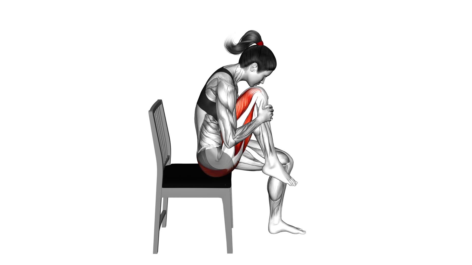 Seated Knee to Nose Stretch (female) - Video Exercise Guide & Tips