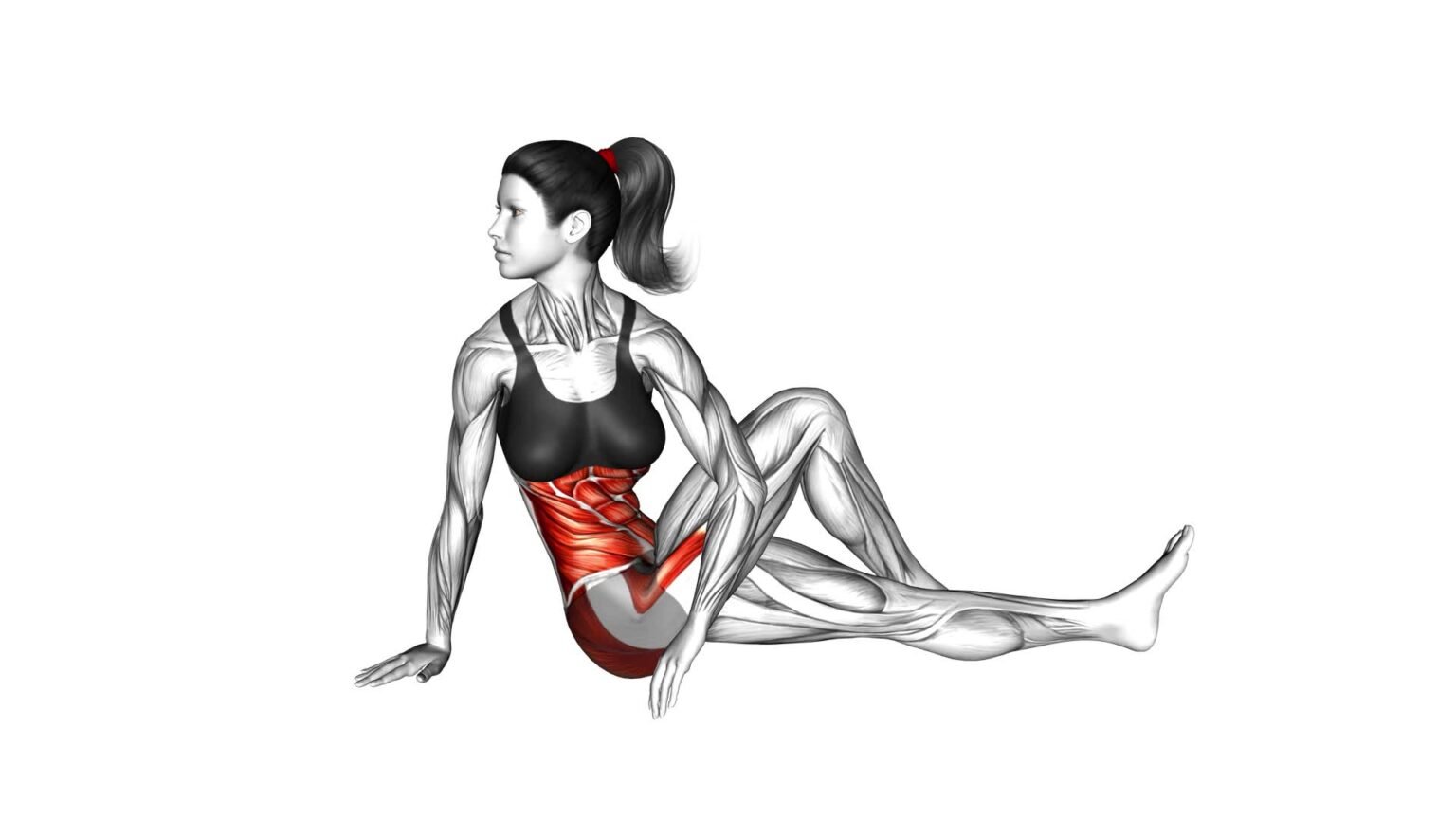 Leg Rotation Workouts Seated Knee-up Rotation Stretch (female) - Exercise Guide & Tips