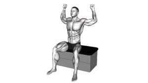 Seated Learning Back Stretch - Video Exercise Guide & Tips