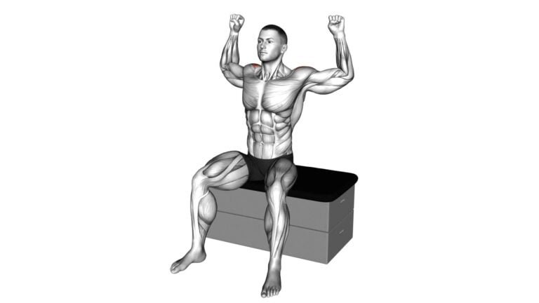 Seated Back Stretch: Video Guide & Tips For Effective Learning