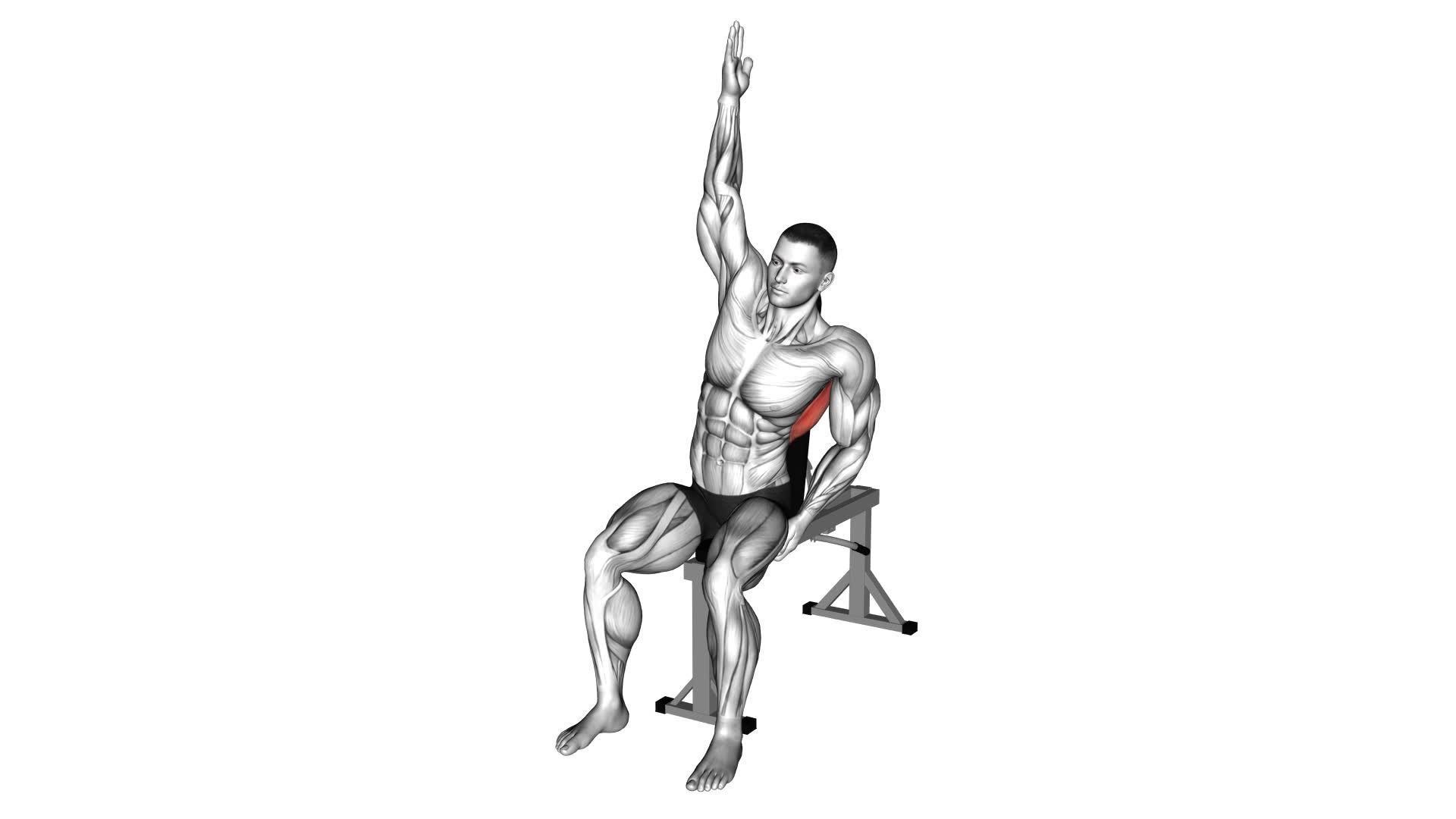 Seated Lower Back Stretch - Video Exercise Guide & Tips