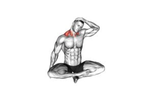 Seated Neck Side Stretch - Video Exercise Guide & Tips