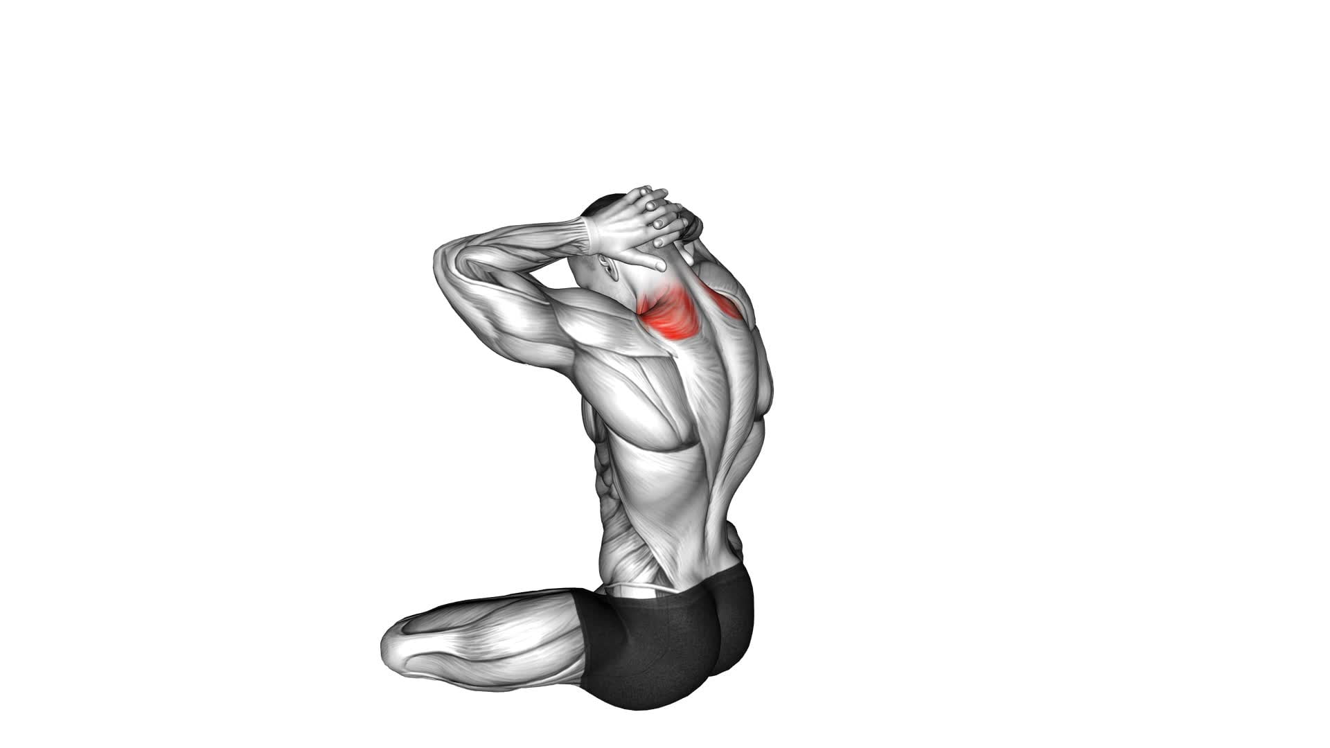 Seated Neck Stretch - Video Exercise Guide & Tips