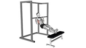 Seated Pull-Up (Legs Elevated) - Video Exercise Guide & Tips