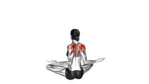 Seated Pulse Back Squeeze (female) - Video Exercise Guide & Tips