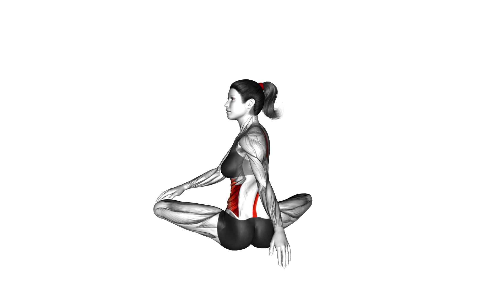 Seated Rotation Stretch (female) - Video Exercise Guide & Tips