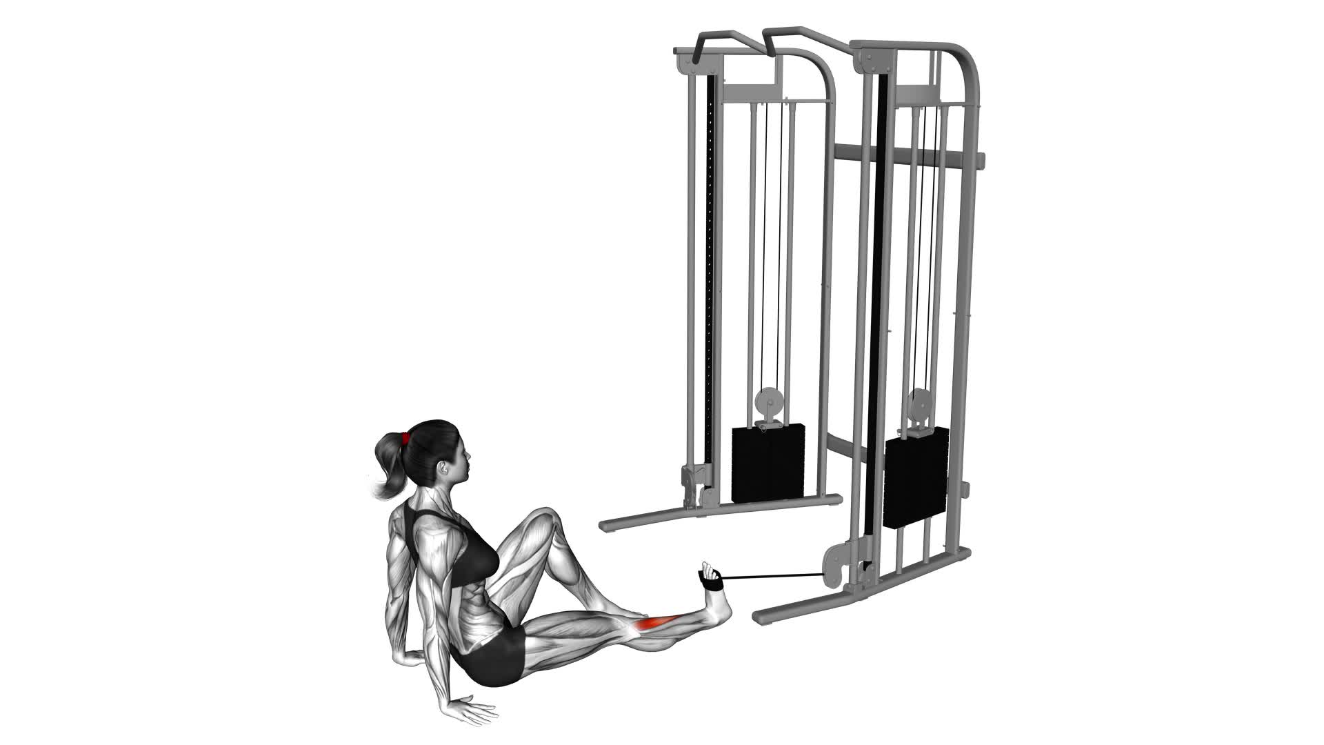 Seated Tibialis Anterior Press (female) - Video Exercise Guide & Tips