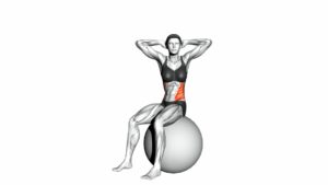 Seated Twist (On Stability Ball) - Video Exercise Guide & Tips