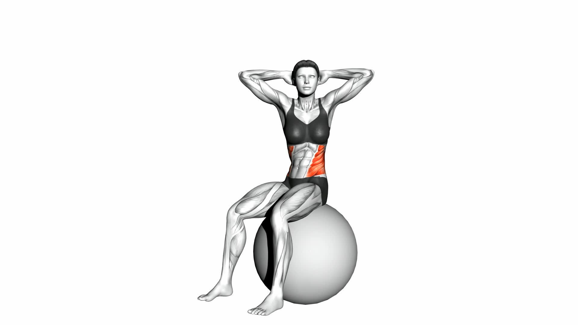 Seated Twist (On Stability Ball) - Video Exercise Guide & Tips