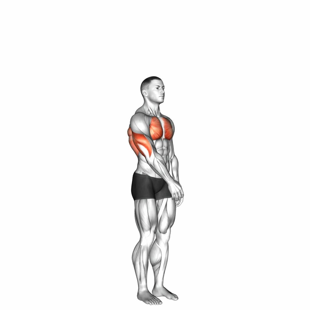 Shoulder - Adduction - Video Exercise Guide & Tips