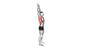 Shoulder Backbend Stretch - Video Exercise Guide & Tips
