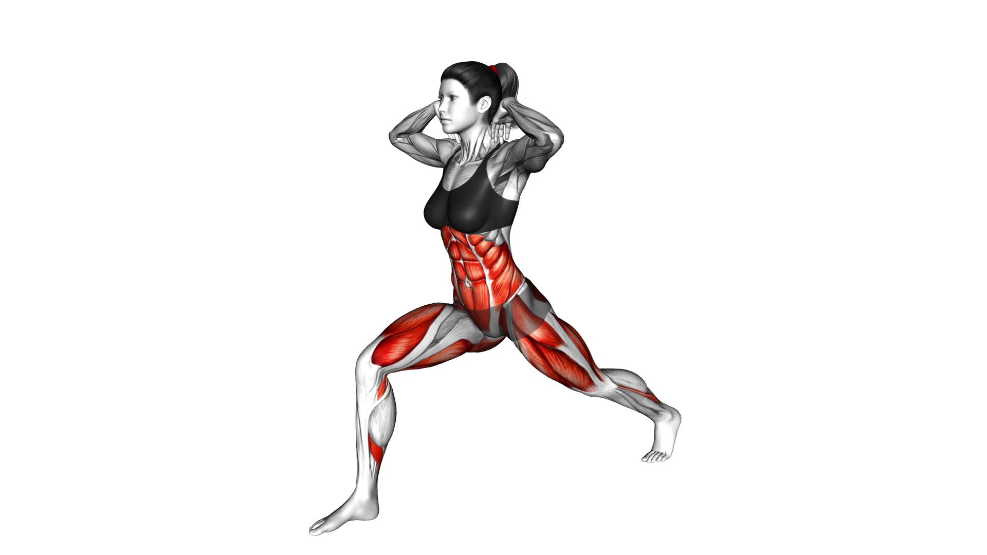 Shoulder Rotation Twist Split Lunge Stretch (female) - Video Exercise Guide & Tips