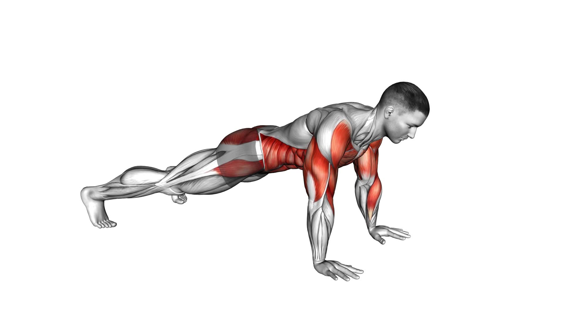Shoulder Tap Jack Plank (male) - Video Exercise Guide & Tips