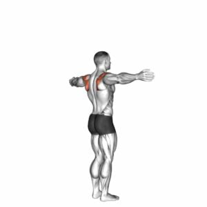 Shoulder - Transverse Abduction - Video Exercise Guide & Tips