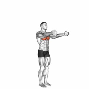 Shoulder - Transverse Adduction - Video Exercise Guide & Tips