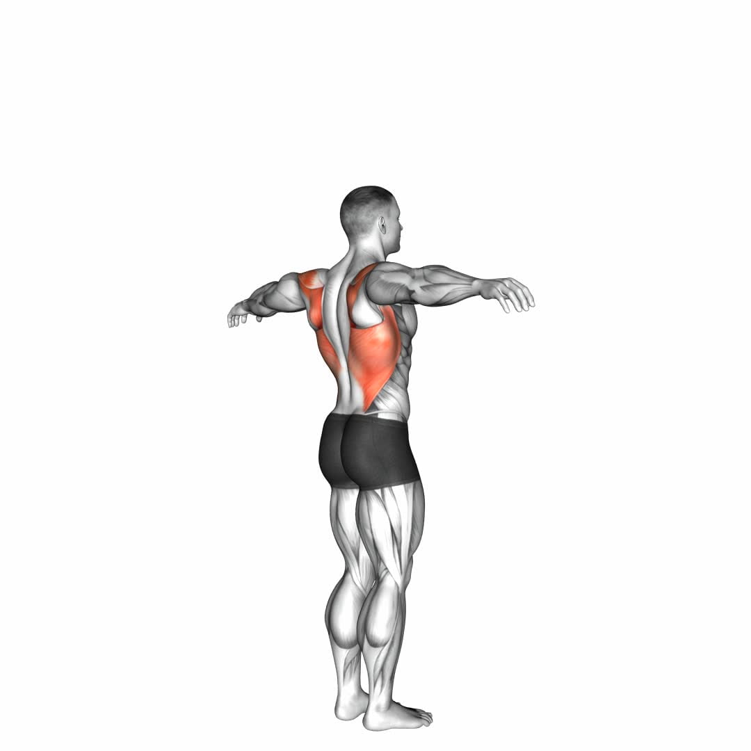 Shoulder - Transverse Extension - Video Exercise Guide & Tips