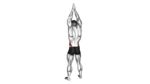 Side Bend Arms Above (male) - Video Exercise Guide & Tips