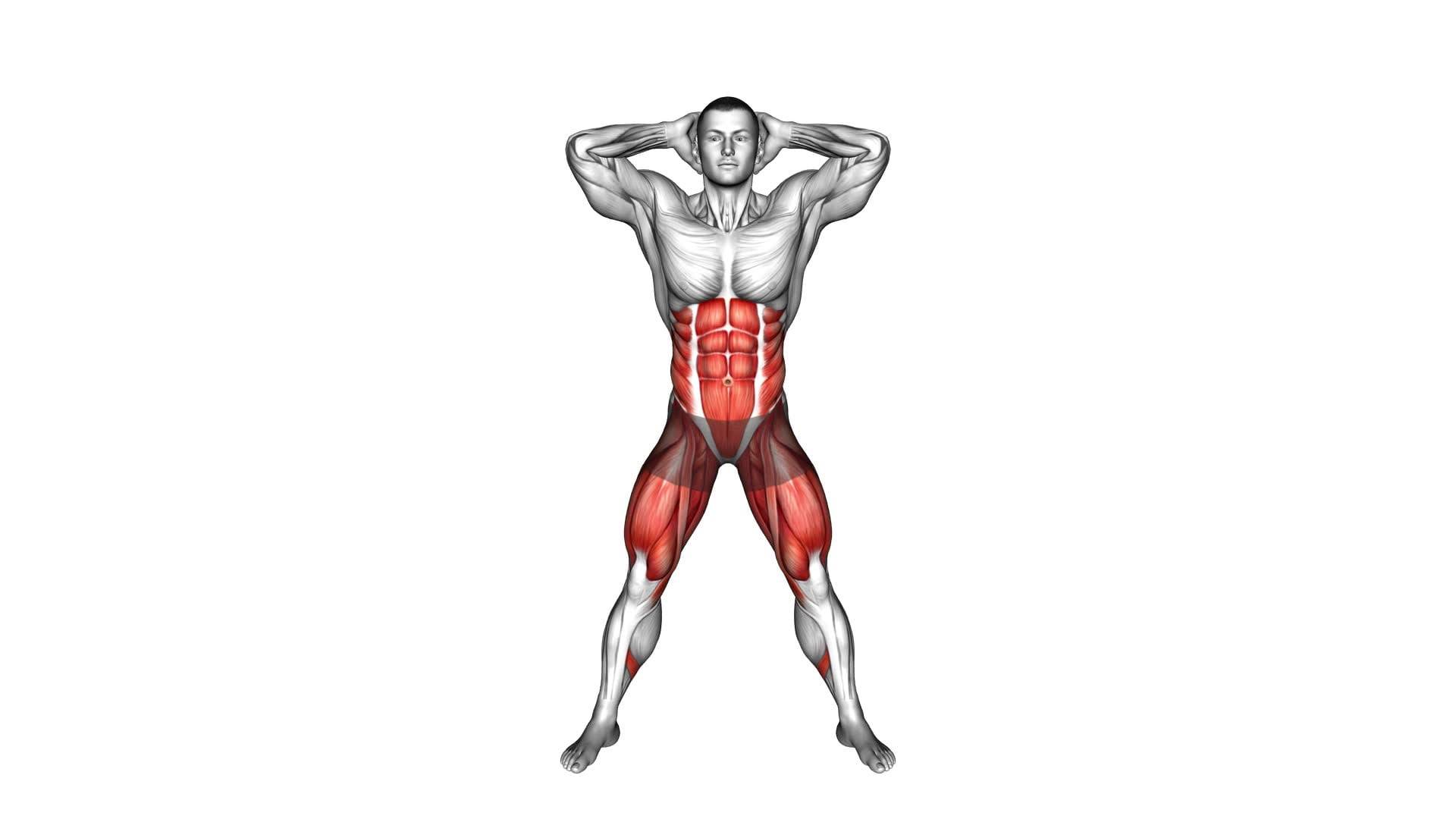 Side Crunch Squat (male) - Video Exercise Guide & Tips