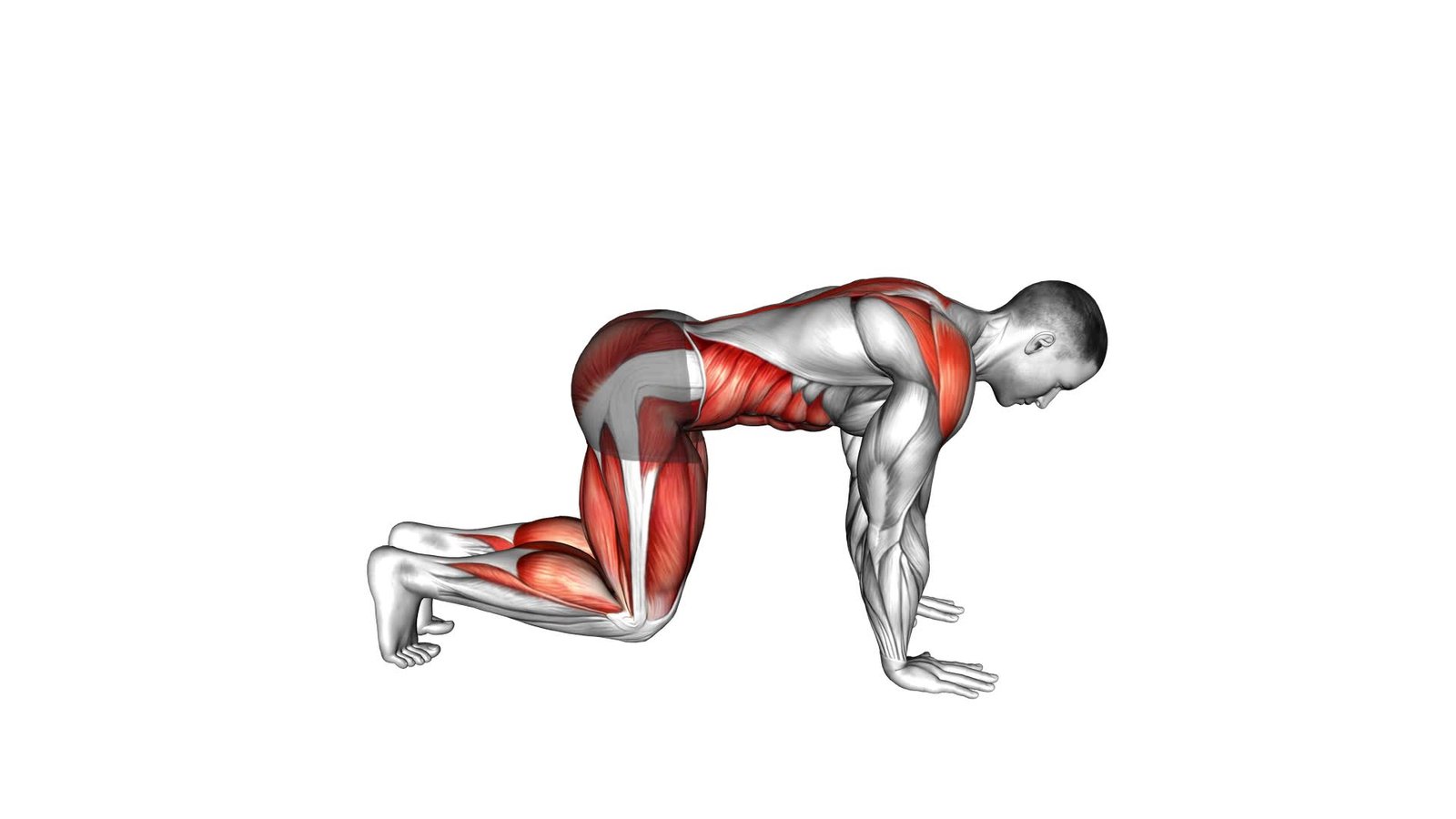 Side Kick Through (male) - Video Exercise Guide & Tips 1 Side Kick Through (male) - Video Exercise Guide & Tips