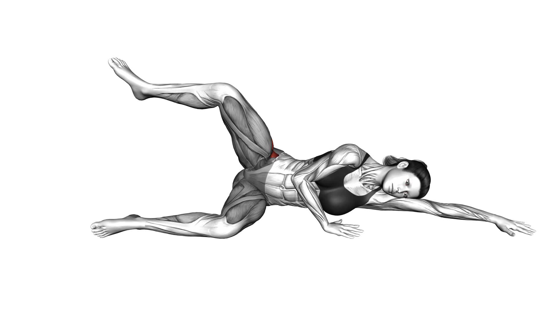 Side Lying 90 Degrees Hip Clam (female) - Video Exercise Guide & Tips