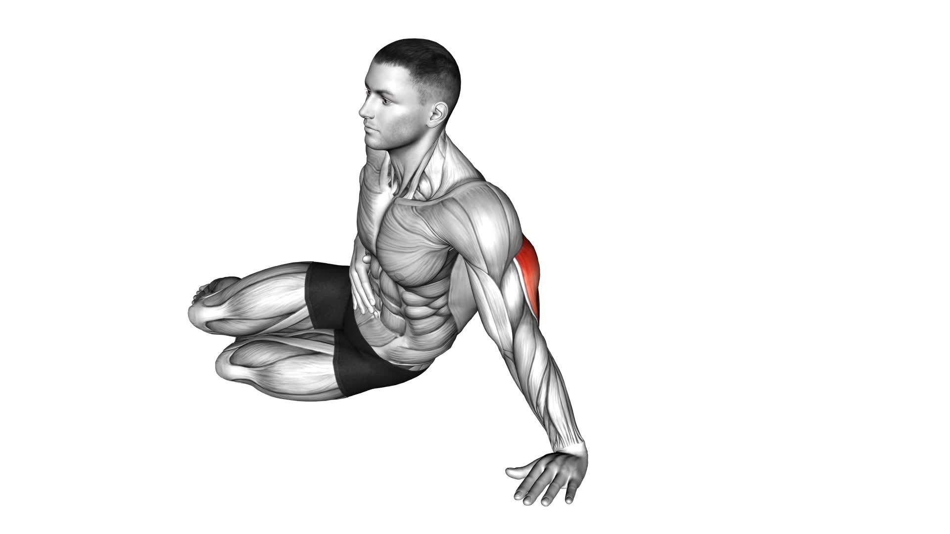 Side Lying Single Arm Triceps Push-up (male) - Video Exercise Guide & Tips