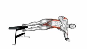 Side Plank Hip Adduction - Video Exercise Guide & Tips